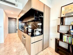 Irwell Hill Residences (D9), Apartment #481047181